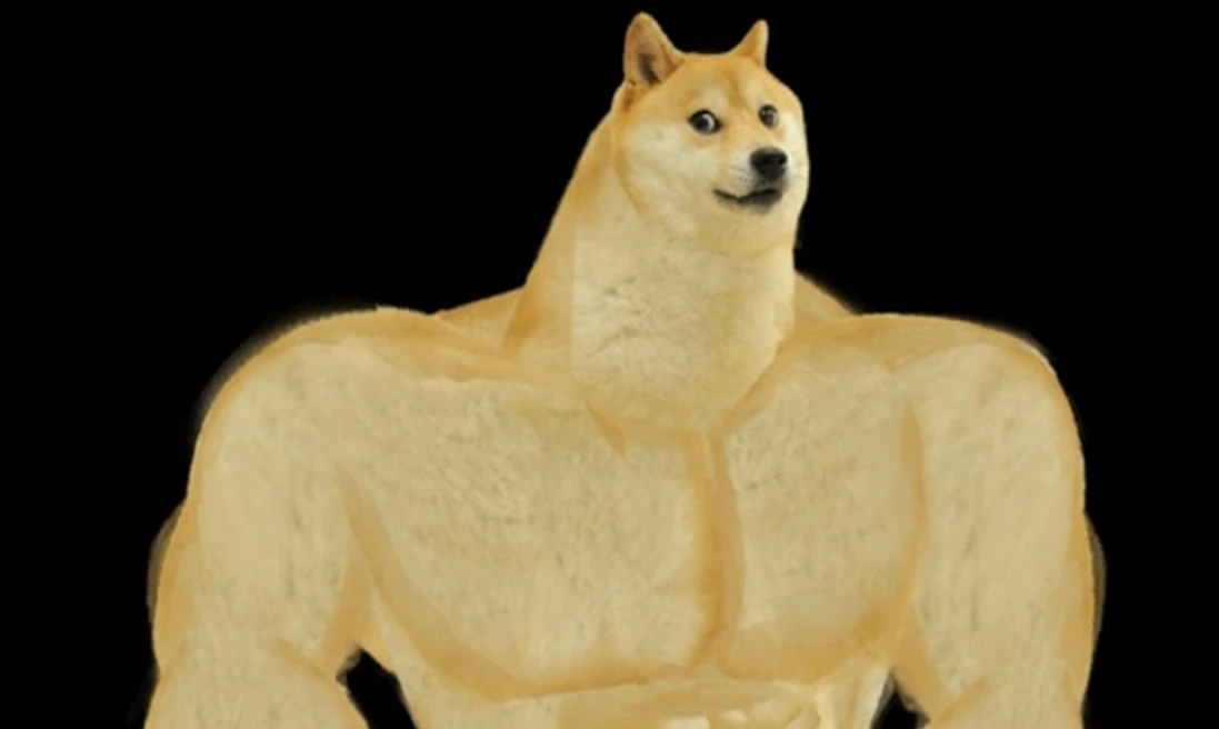 Gym Doge (GYMDOGE) Prepares for Massive Rally as it Challenges Shiba ...